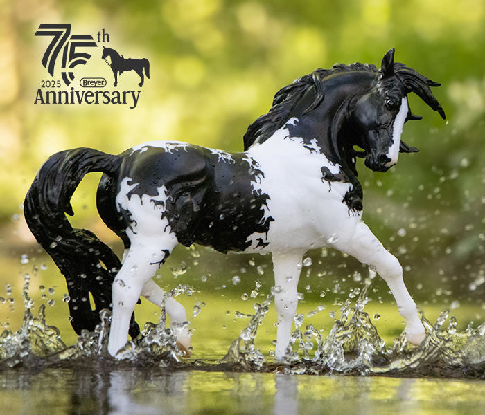 75th Anniversay Model Sale