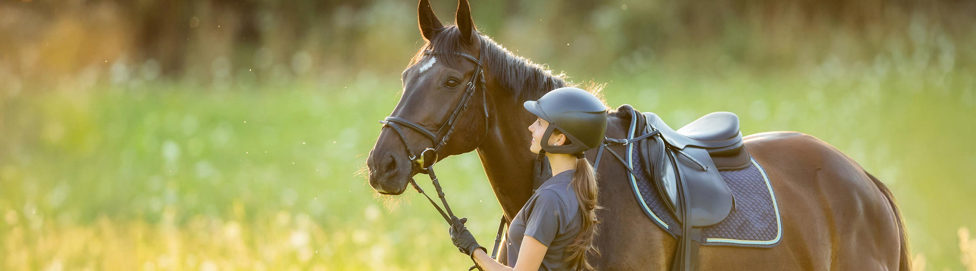 Breyer On Sale Collection - A woman standing beside a horse holding the reigns.