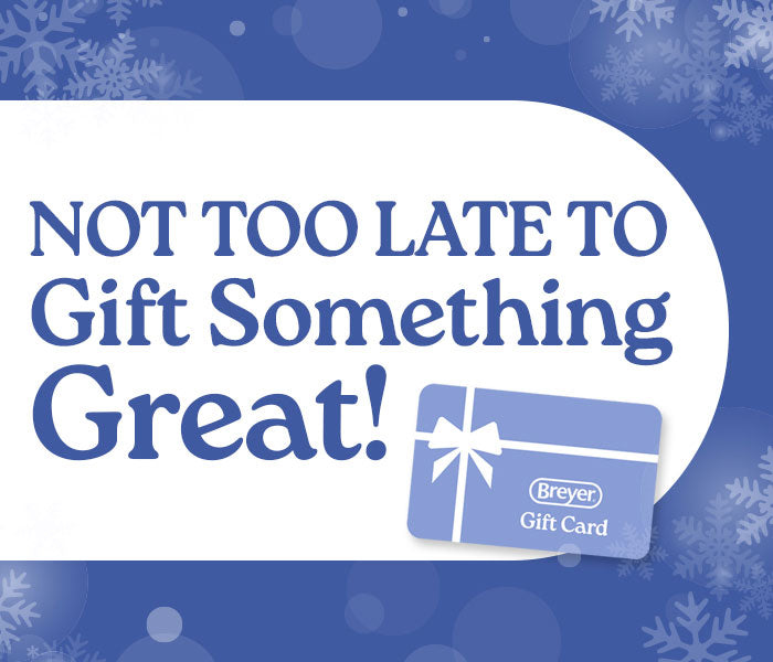 Order Gift Cards for Immediate Delivery!