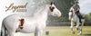 Meet the New Legend Breyer Horse Model