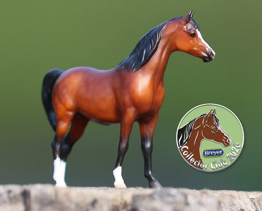 2025-2026 Deluxe Collector Club Membership - featuring Kiana and collectible pin