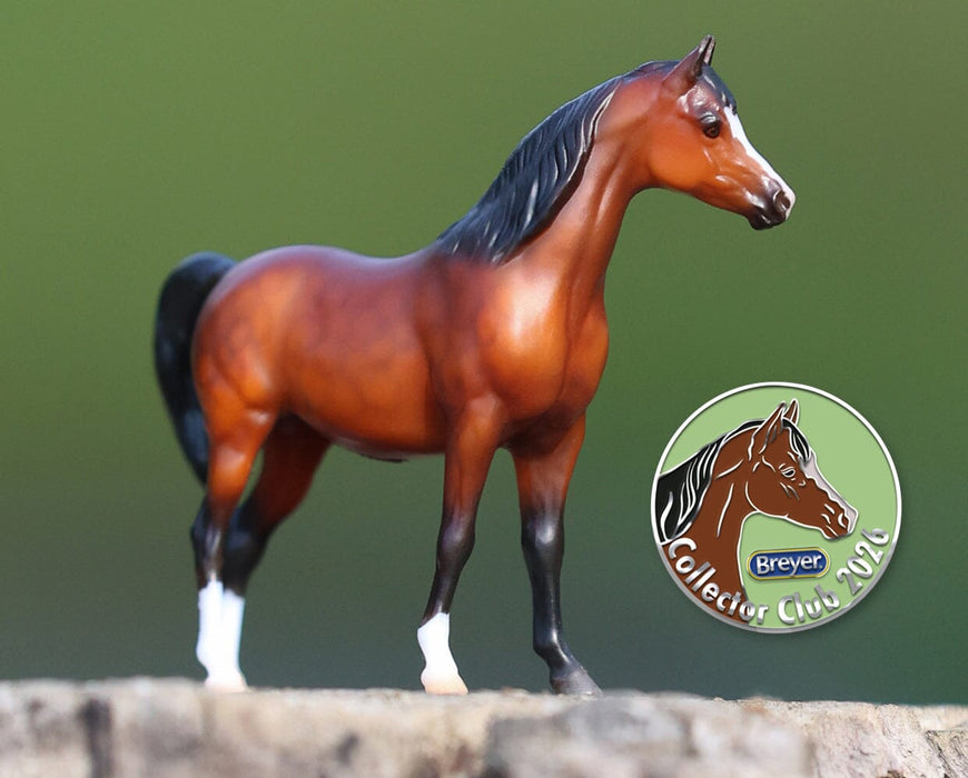 2025-2026 Deluxe Collector Club Membership - featuring Kiana and collectible pin