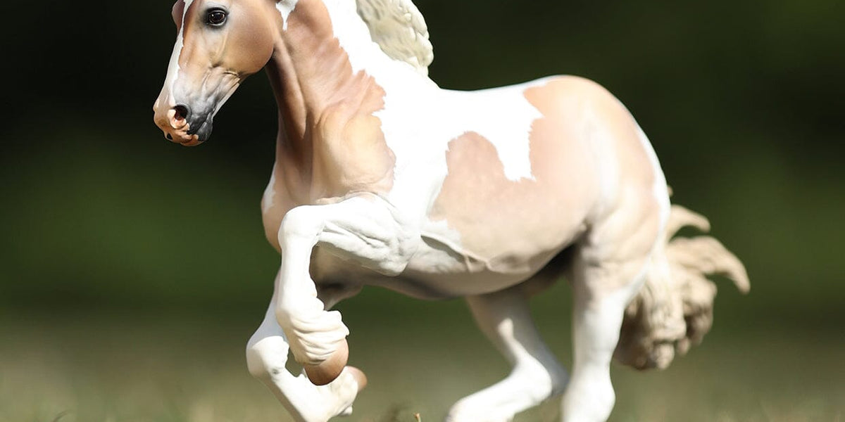 2026-premier-collection-