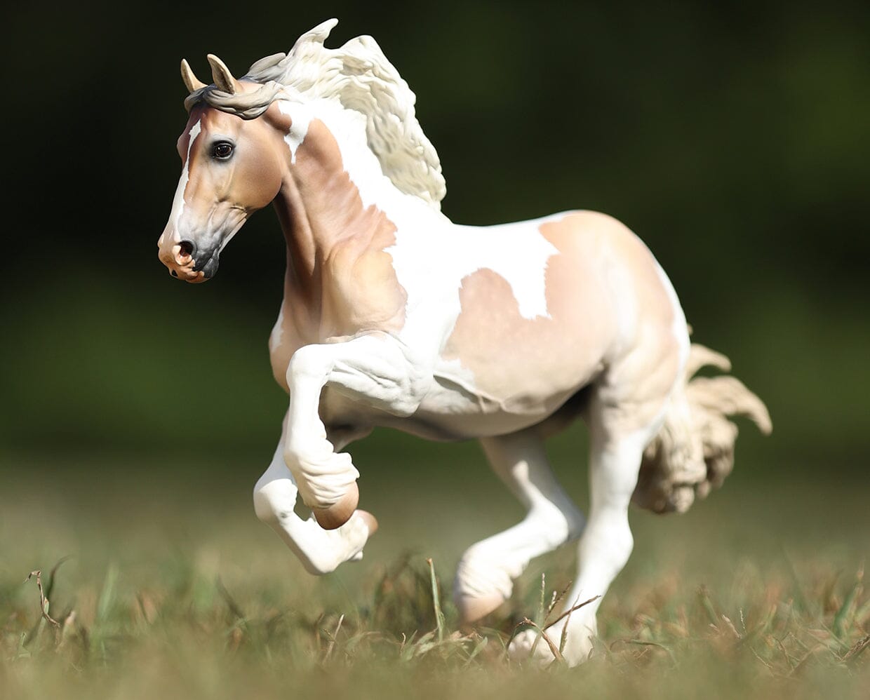 2026 Premier Collection Membership - Deposit - featuring Georgina