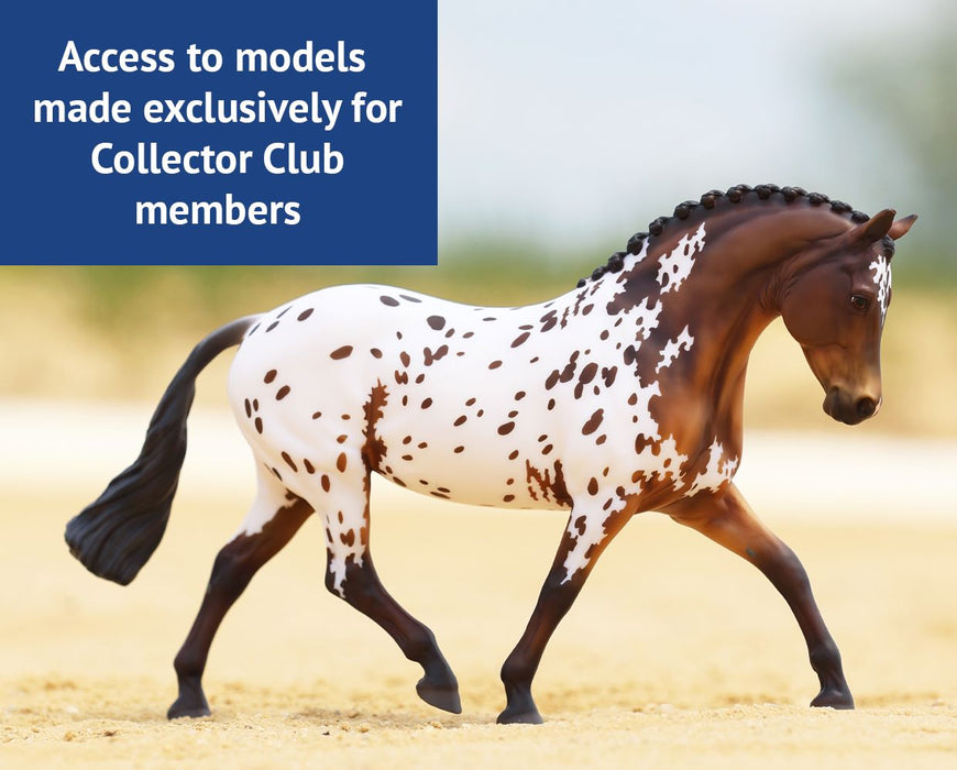 Access models made exclusively for Collector Club members