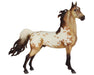 75th Anniversary Horse | Saddlebred on white background