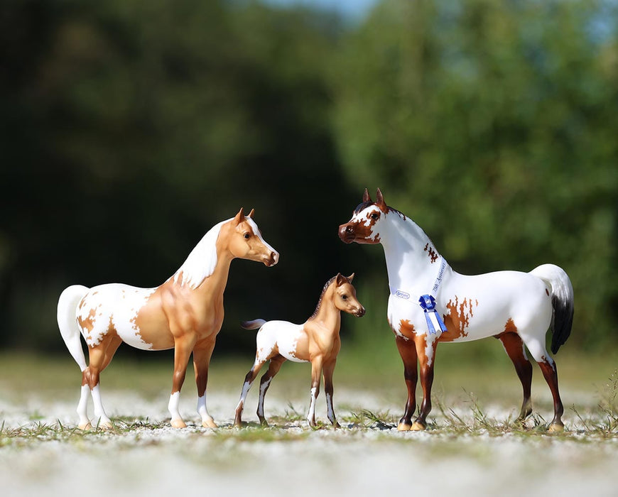 75th Anniversary Traditional Family Gift Set standing in a field