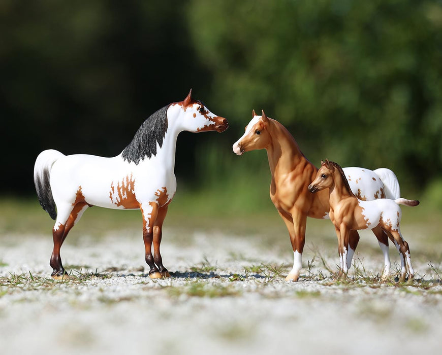 75th Anniversary Traditional Family Gift Set