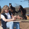 Every Breyer horse is created by hand, under the watchful eye of the world’s leading equine experts.