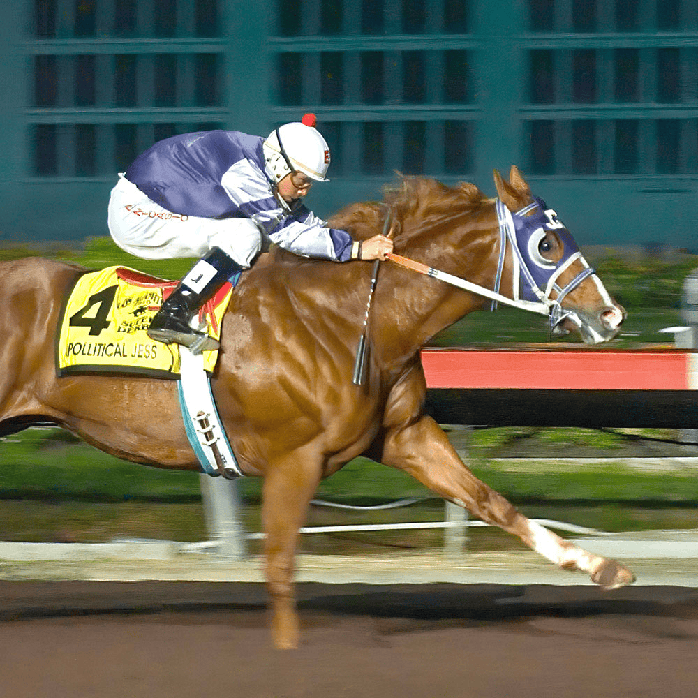 Rotating image of Apollitical Jess in a race and  Apollitical J Streak standing in a field