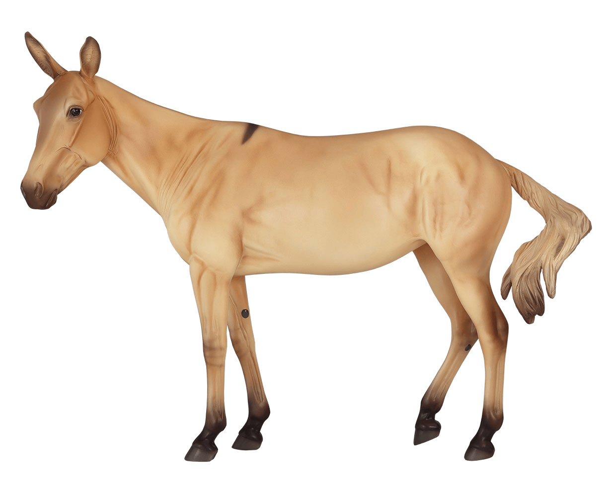 Aquavit - Rotating .gif of both sides of the model