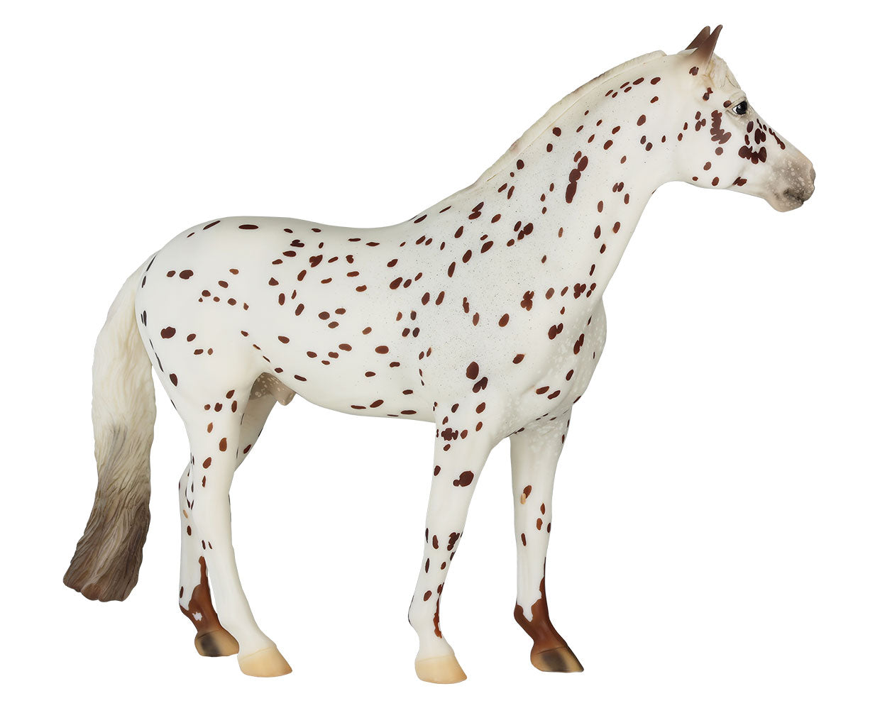 Pyxis av Drӧmmarna  facing right on a white background