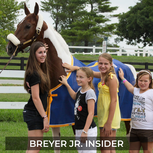 Breyer Jr. Insider