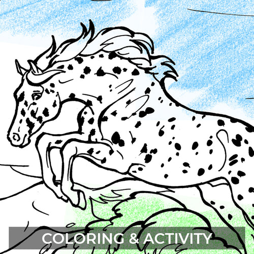 Coloring & Activity