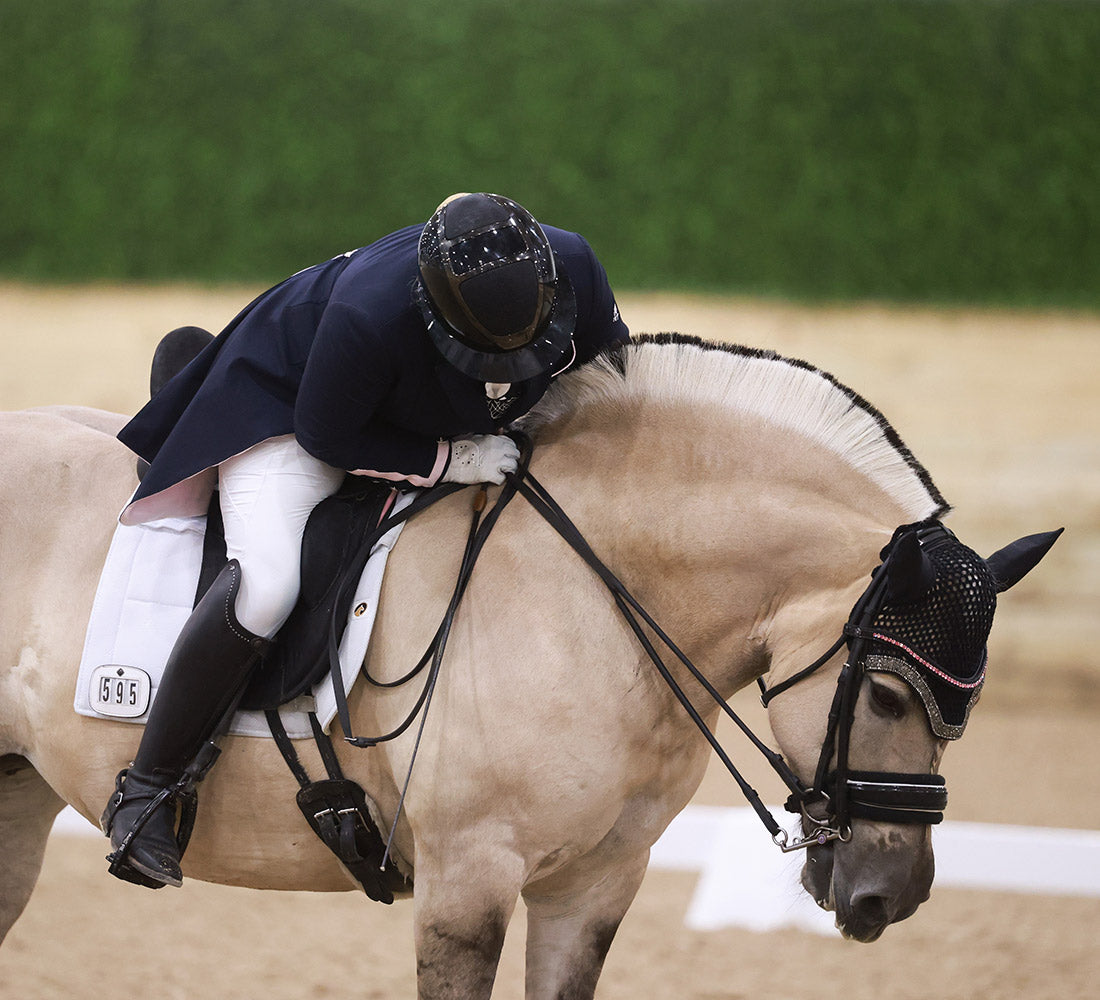 2026 Celebration Horse – Corgi Hill Flinka