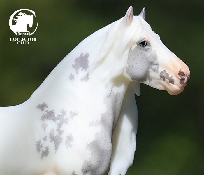 The 2026 Collector Club featuring Lavinia