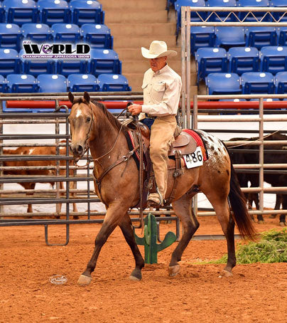 Mr. Shining Gun horse and rider in an arena
