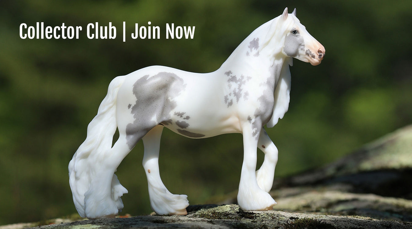 Collector Club 2026 - Join Now