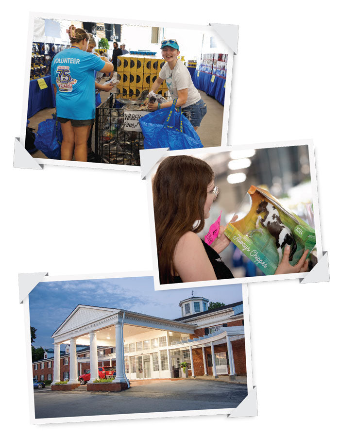 Pictures of people shopping at Breyerest and a photograph of the Clarion Hotel