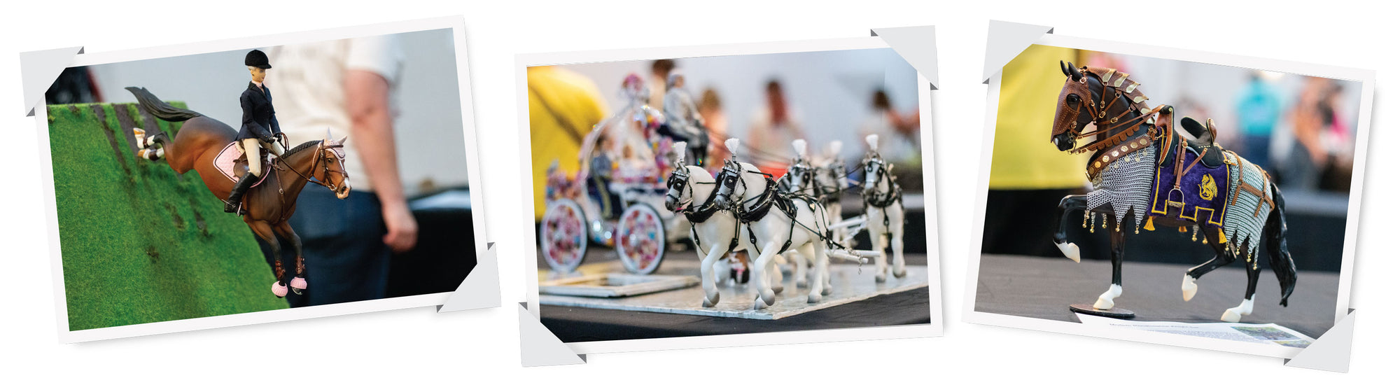 Best Customs Contest Entries