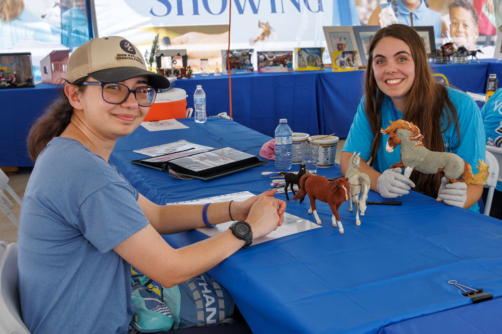 BreyerFest: Midsummer Fair Volunteer Application