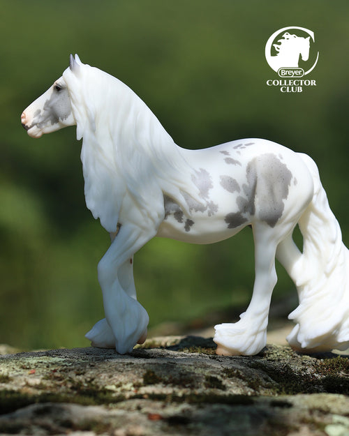 The 2026 Collector Club - featuring exclusive model