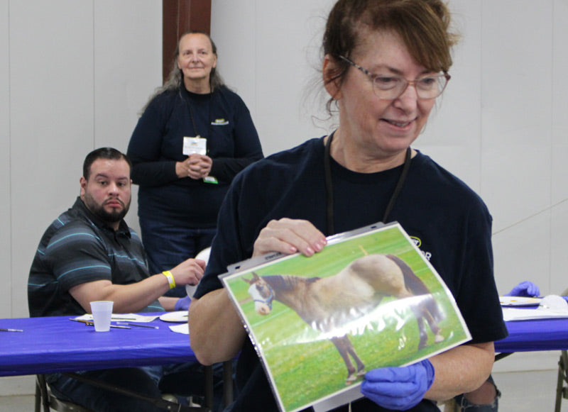 A fun Breyer hobby workshop