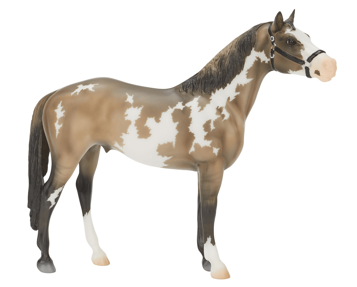  Thingvellir - Rotating .gif of both sides of the model