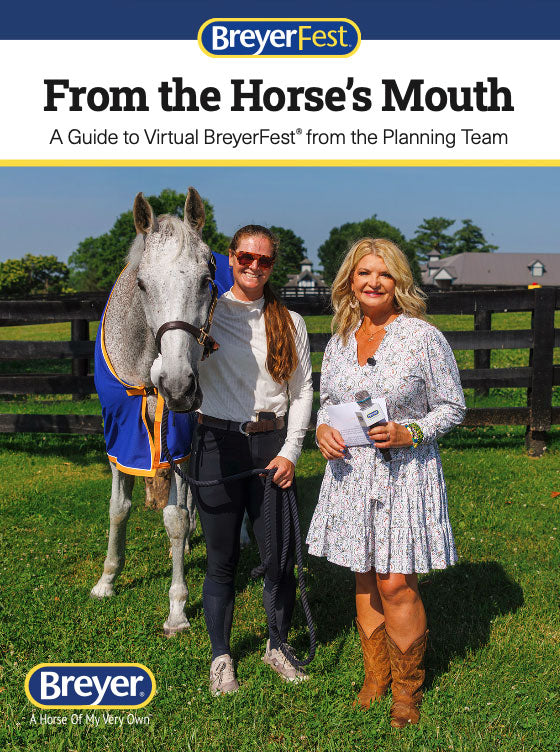 Virtual First Timer's Guide Cover 