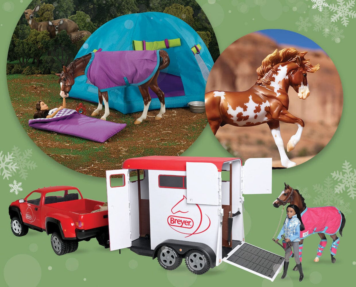 adventure-value-bundle-model-