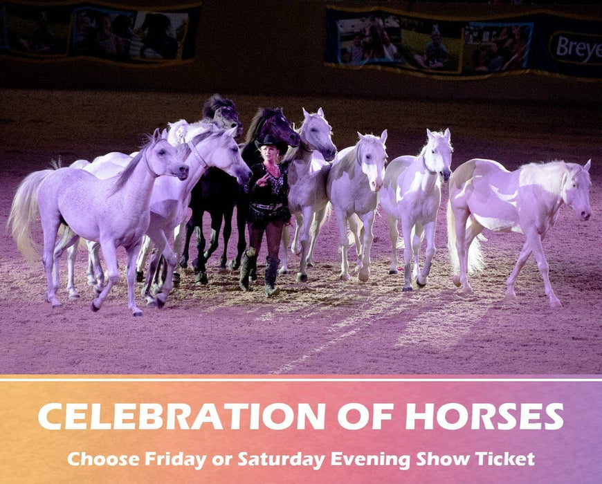 AllAccess Ticket Wild Card Special Run Access BreyerFest 24