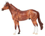 Apollitical Jess | American Quarter Horse Sprinter facing left on a white background