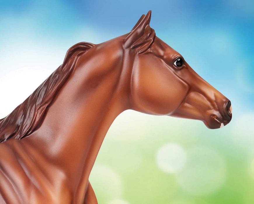 Apollitical Jess | American Quarter Horse Sprinter head shot facing right