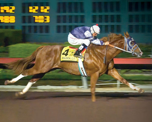 Apollitical Jess | American Quarter Horse Sprinter - Real horse, racing