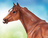 Apollitical Jess | American Quarter Horse Sprinter head shot on a colorful background