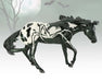 Arachne | 2025 Halloween Horse - not glowing, facing right