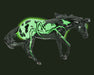 Arachne | 2025 Halloween Horse - Glows!