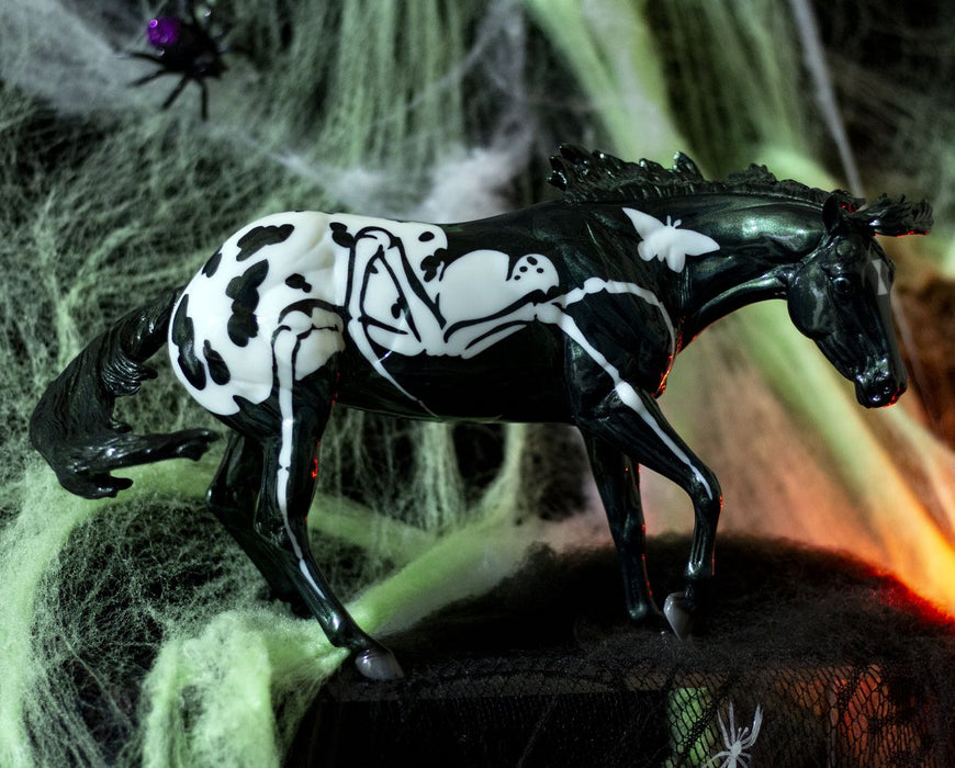 Arachne | 2025 Halloween Horse
