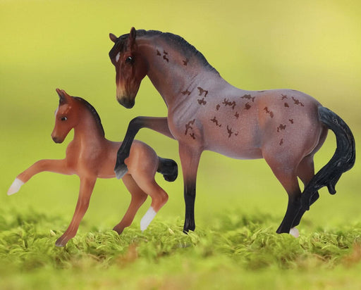 Arroyo & Baja standing on grass