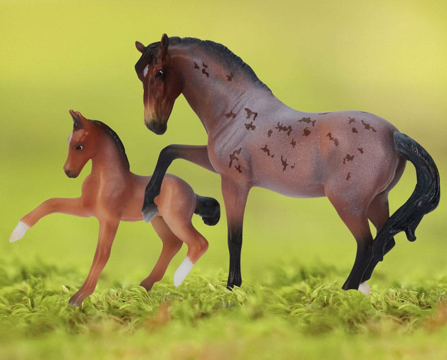 Arroyo & Baja standing on grass