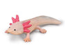 Axolotl on white background