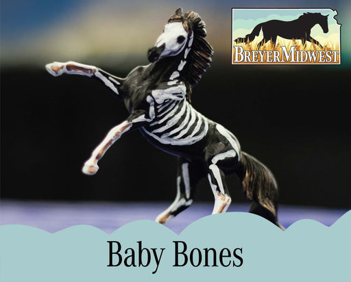 Baby Bones Workshop | BreyerMidwest 2026