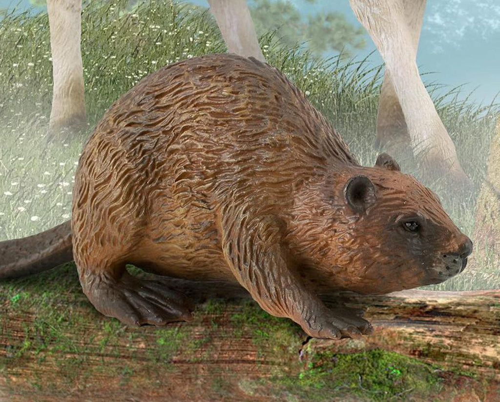 is using a sex toy a sin Beaver Toy main image 0