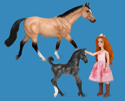 Birthday at the Barn