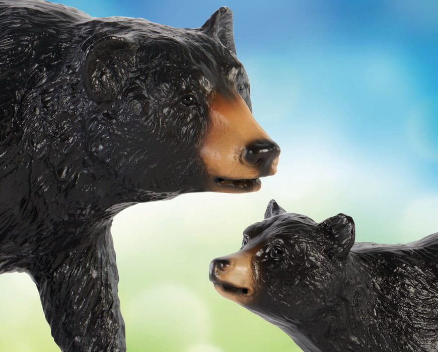 Black Bear and Cub Set headshot in a colorful background