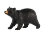 Black Bear Cub in a white background facing left