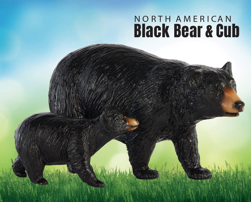 Black Bear and Cub Set on a grassy setting