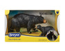 Black Bear and Cub Set in packaging