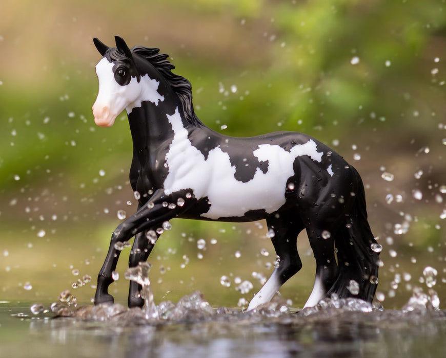 Black Frame Overo Stock Horse