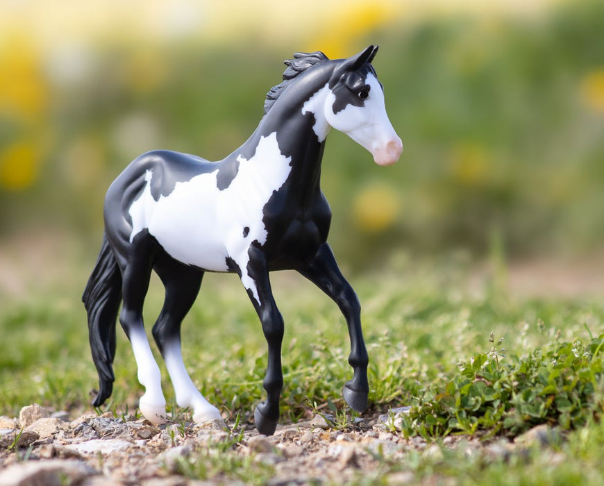 Black Frame Overo Stock Horse